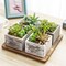 Artificial Succulent Arrangement Faux Plant Centerpiece with Decorative Rustic Wood Planter Boxes on Base Tray